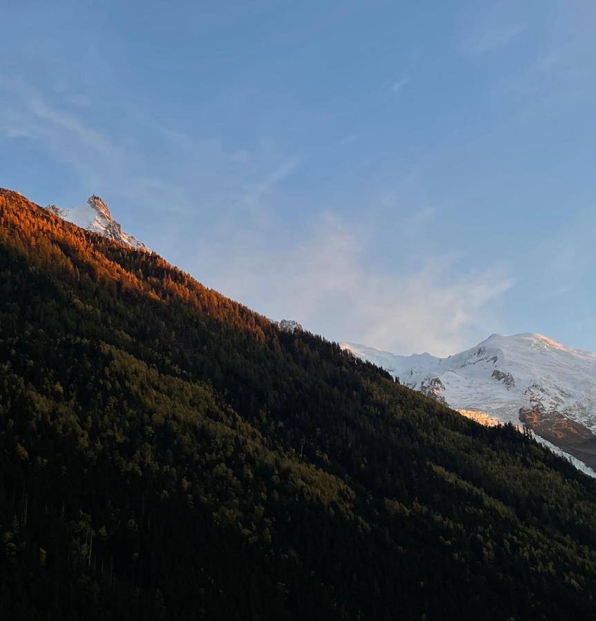 Apartmán Center & Unique Mountain View Chamonix Exteriér fotografie